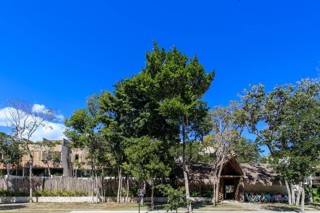 Eco-Chic Design Condos Wrapped In Nature'S Elements By Stella Rentals Tulum Esterno foto